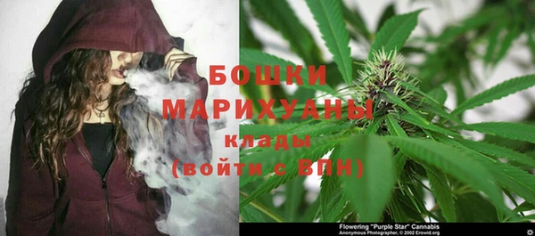 сатива Верея