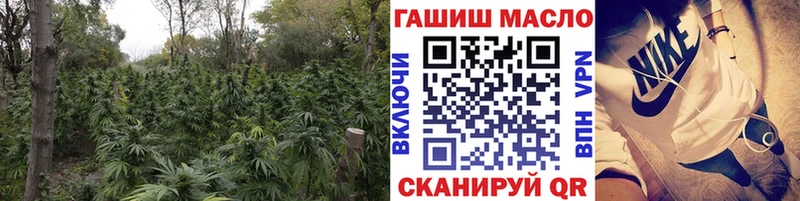 Дистиллят ТГК концентрат  mega как войти  Кингисепп  закладка 