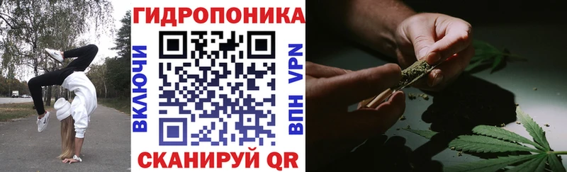 Шишки марихуана AK-47  закладка  Кингисепп 